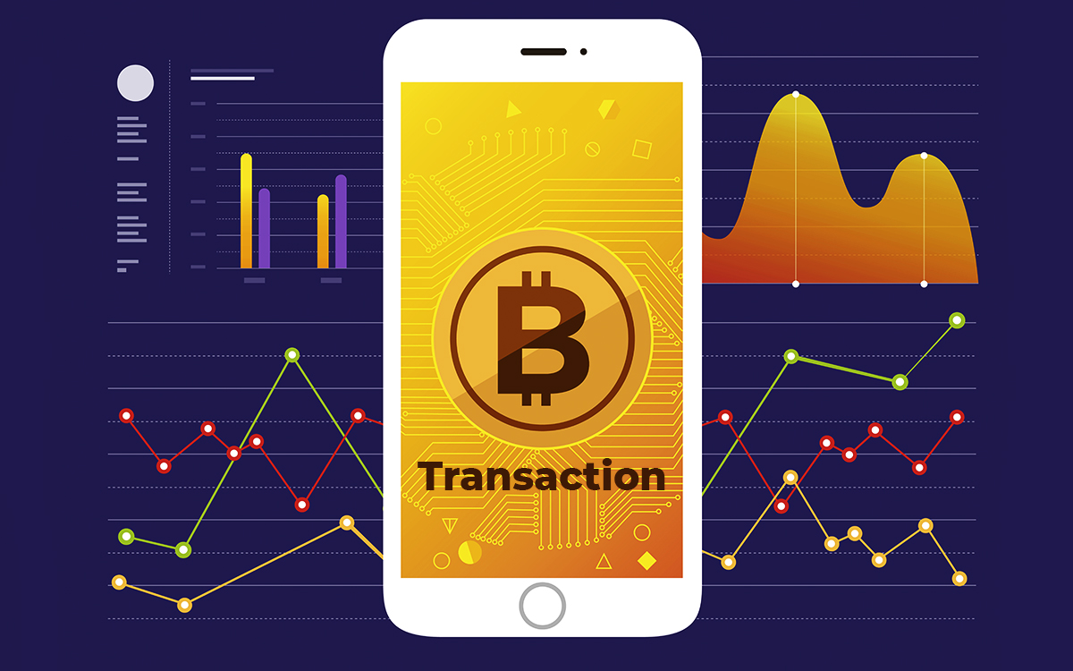 a bitcoin transaction includes